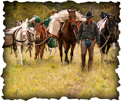 Cowboy and horses